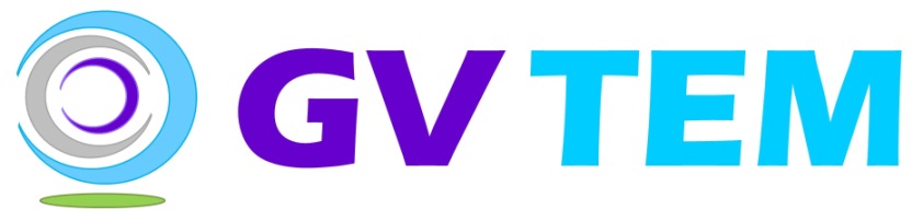 Logo GVTEM